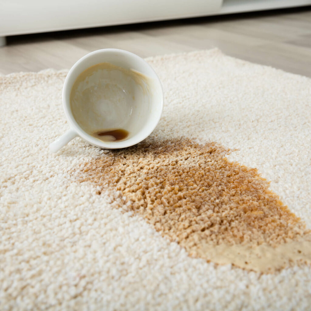 Carpet floor cleaning | Colonial Interiors